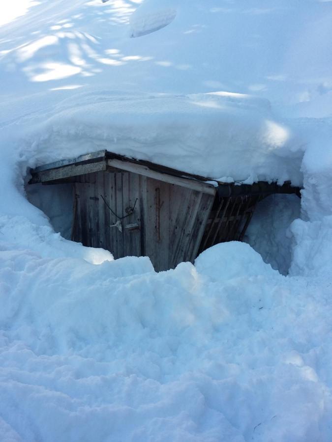 Ferienwohnung Gassoid Fieberbrunn Esterno foto